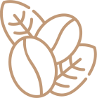 Natural Coffee Beans